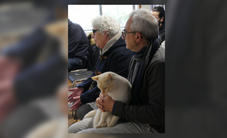 El BNG solicita destinar más fondos a la protectora de animales y propone el cerramiento exterior del refugio