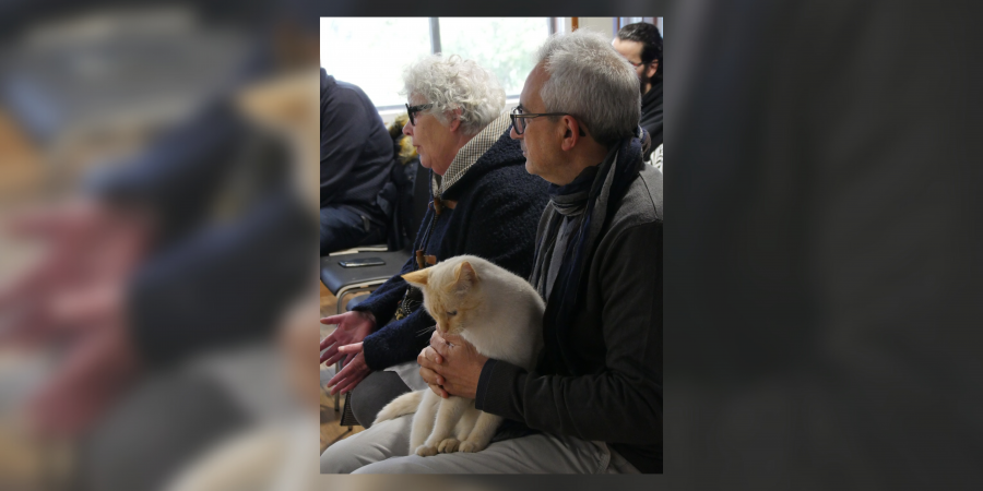 El BNG solicita destinar más fondos a la protectora de animales y propone el cerramiento exterior del refugio