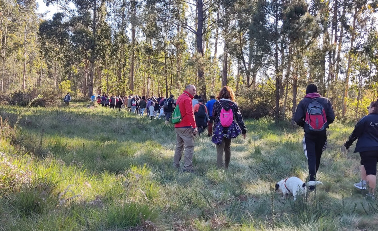 La asociación Andarela retoma sus rutas guiadas y programa una nueva cita para descubrir el Chan da Gorita