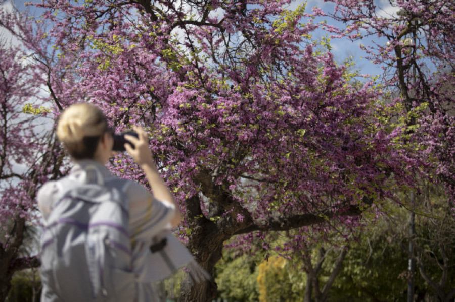 La primavera llega a Galicia el lunes 20 de marzo a las 22.24 horas