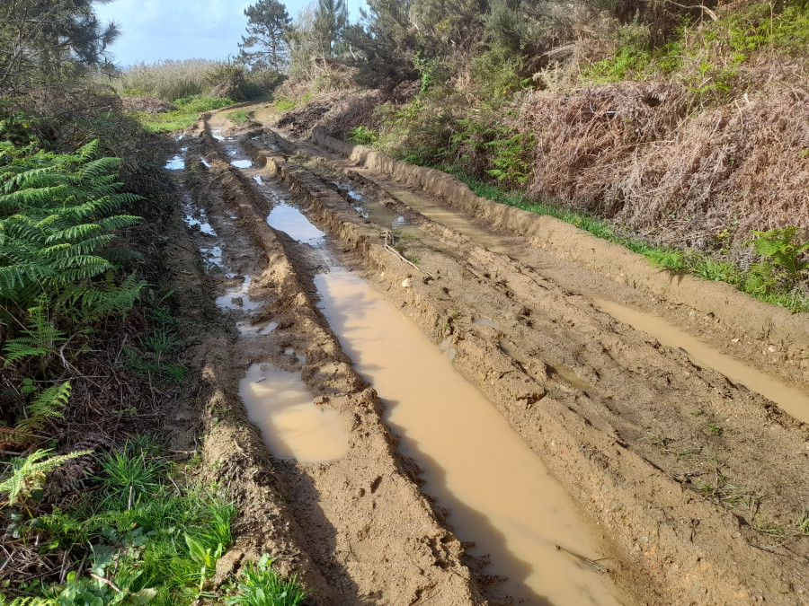 Denuncian la destrucción de un camino en Teira por un tractor que extrajo madera del Monte Facho