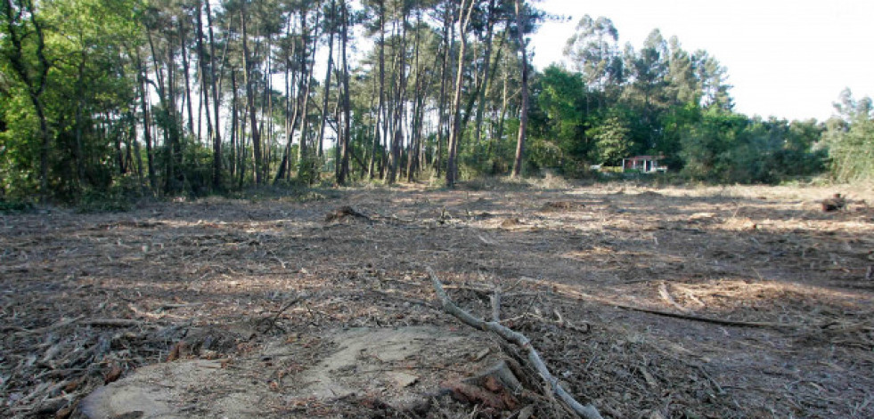 Encuentran muerto a un trabajador que talaba árboles en un monte próximo a Pantón