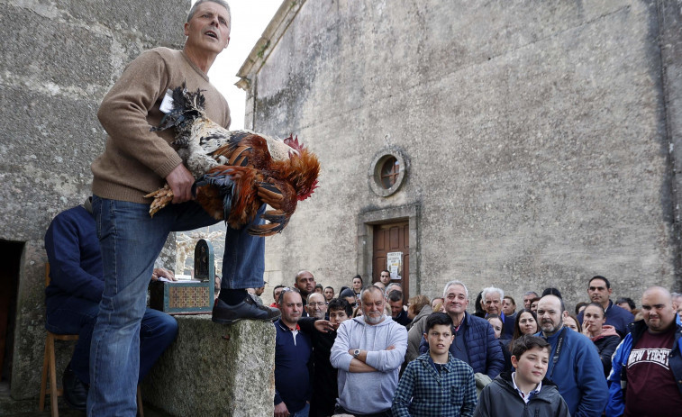 San Benito regresó con misas y “poxas” en Lores y Cambados