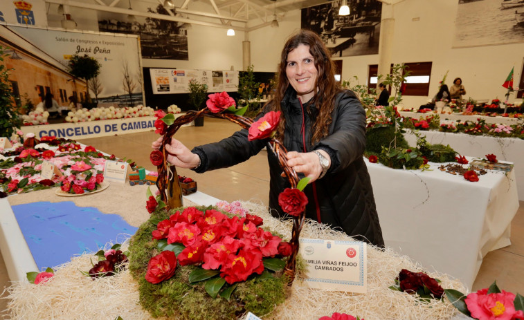 Sangre nueva para los camelistas gallegos en la muestra de Cambados, que hoy entrega el Premio Camelia de Ouro