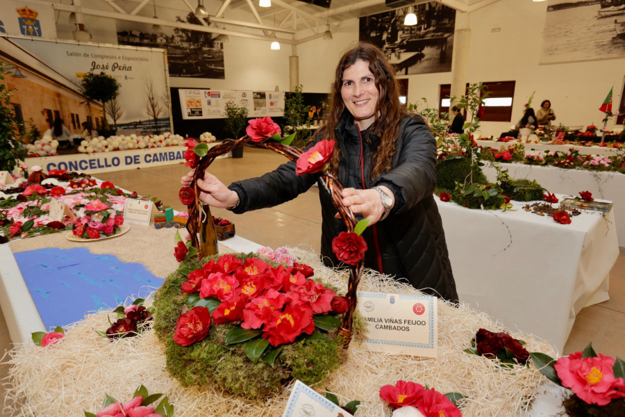 Sangre nueva para los camelistas gallegos en la muestra de Cambados, que hoy entrega el Premio Camelia de Ouro