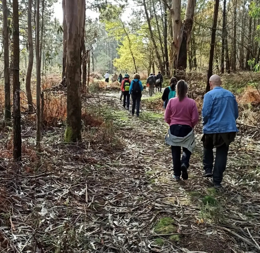 La asociación Andarela de Sanxenxo programa dos nuevas rutas guiadas para primavera