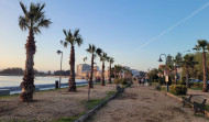 El paseo marítimo de Cambados recupera las palmeras