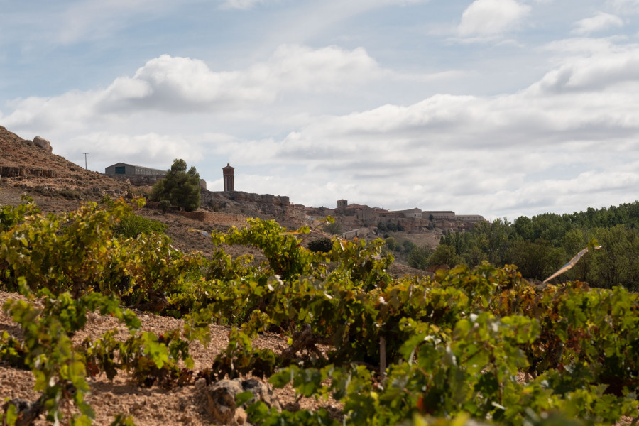 La Celestina Crianza 2019 recibe 91 puntos en el último informe de Rober Parker sobre Ribera del Duero