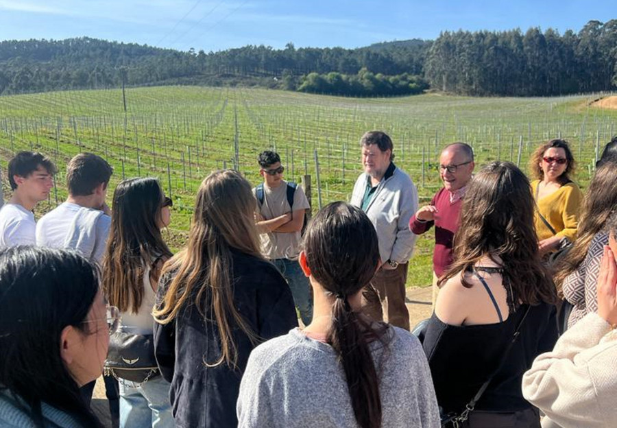 Una década de visitas de la Basque Culinary Center a la DO Rías Baixas