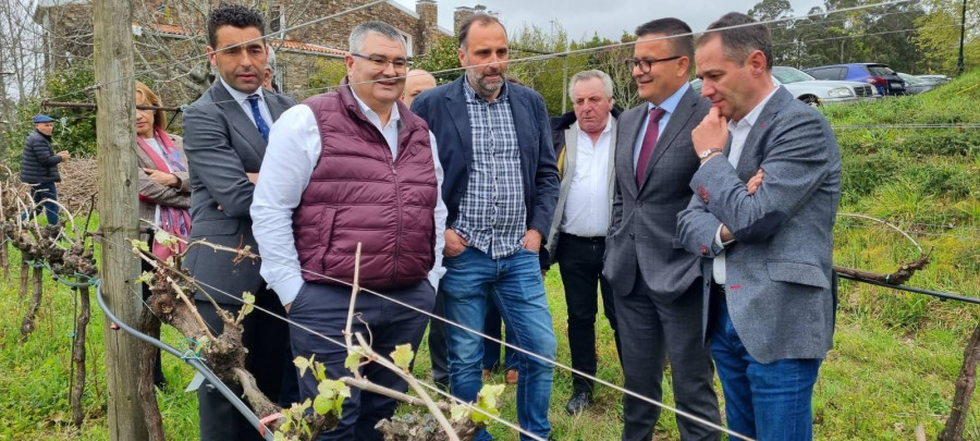 Cuatro años y este procedimiento: Así se podrá legalizar el tinto de Barrantes