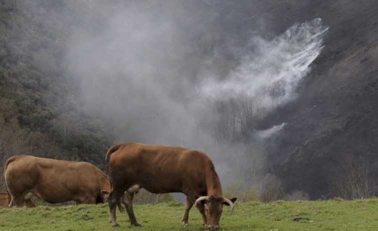 Controlados los incendios de Baleira y Viveiro, que suman 1.490 hectáreas calcinadas