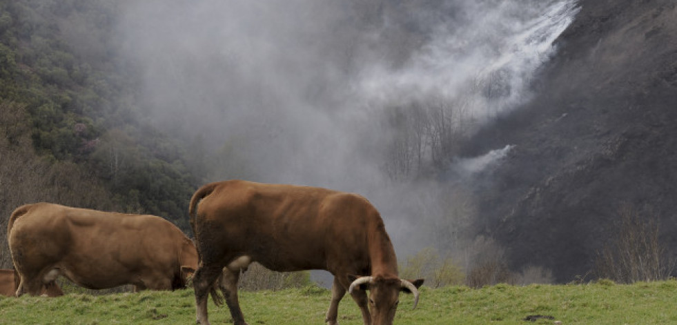 Controlados los incendios de Baleira y Viveiro, que suman 1.490 hectáreas calcinadas