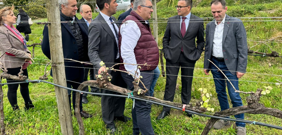 Somos y PSOE acusan a Concello y Xunta de “non facer nada” en años para legalizar el tinto Barrantes