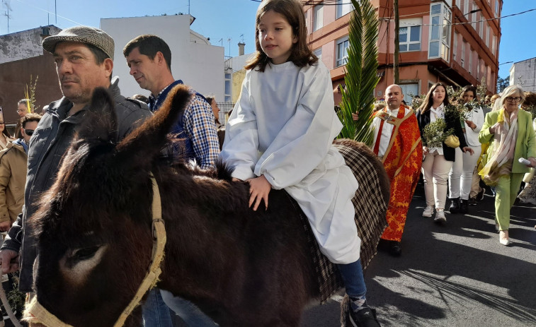 Reportaje | Borriquitas y ramos ensalzan el inicio de la Semana Santa en O Barbanza