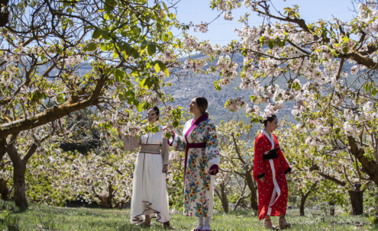 Un pueblo de Málaga se convierte en Japón gracias a sus cerezos en flor