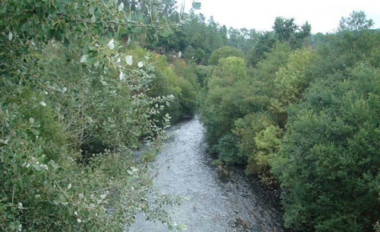 Recuperado un cadáver en el río Ulla, en A Estrada