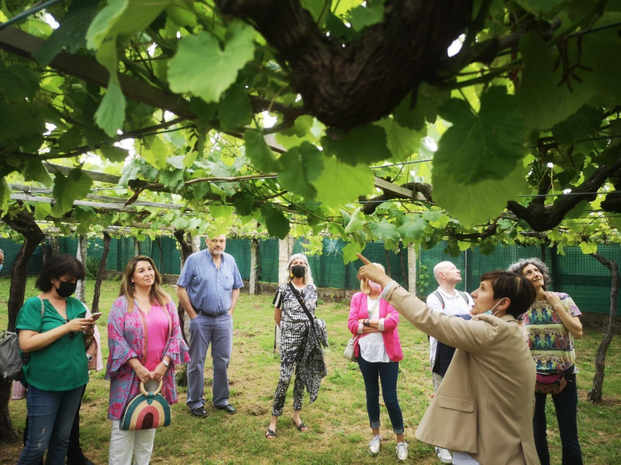 La Ruta do Viño Rías Baixas pone a la venta las entradas para la Primavera de Puertas Abiertas