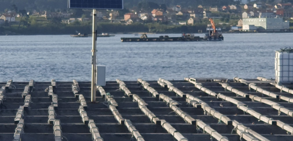Localizan mejilla en dos barcos que navegaban sin luces y cuyos tripulantes se dieron a la fuga