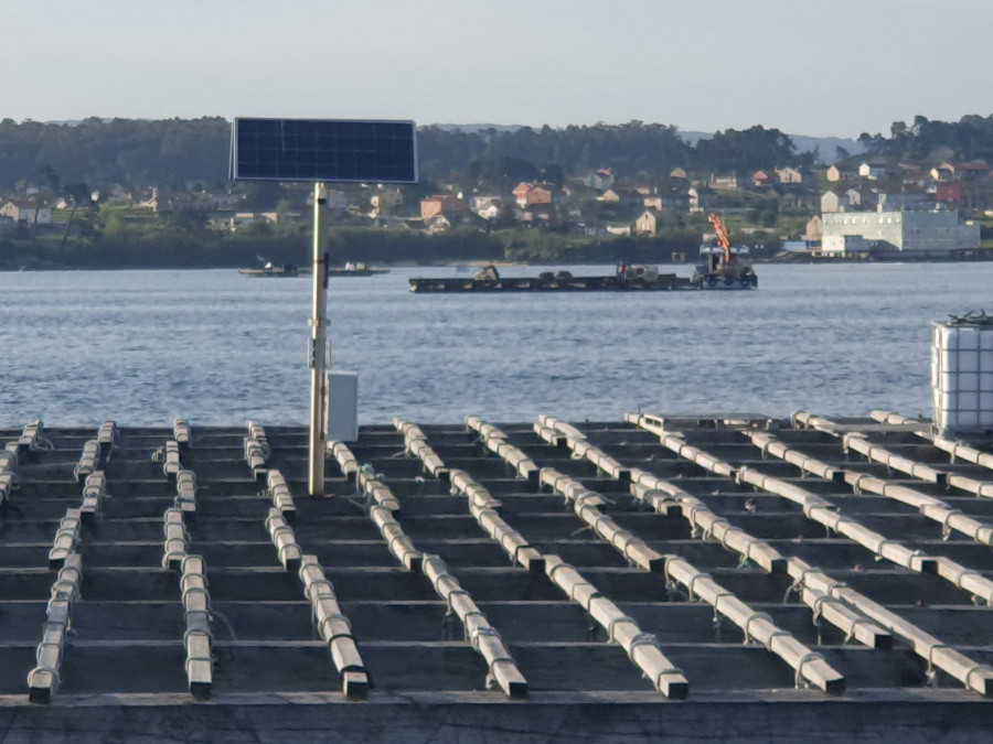 Localizan mejilla en dos barcos que navegaban sin luces y cuyos tripulantes se dieron a la fuga