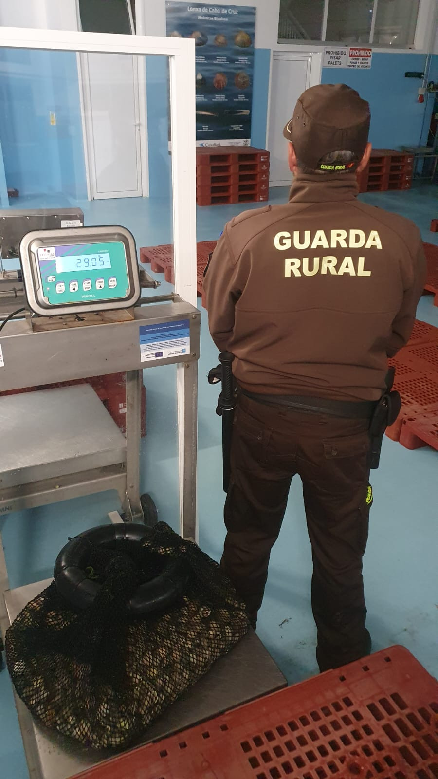 Vigilantes de la cofradía de Cabo de Cruz intervienen a un furtivo con 29 kilos de almejas