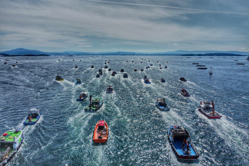 Bateeiros mar dos