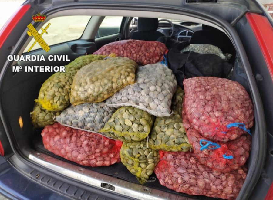 Interceptan a un vehículo con 555 kilos de almeja procedente de Portugal con destino Sanxenxo