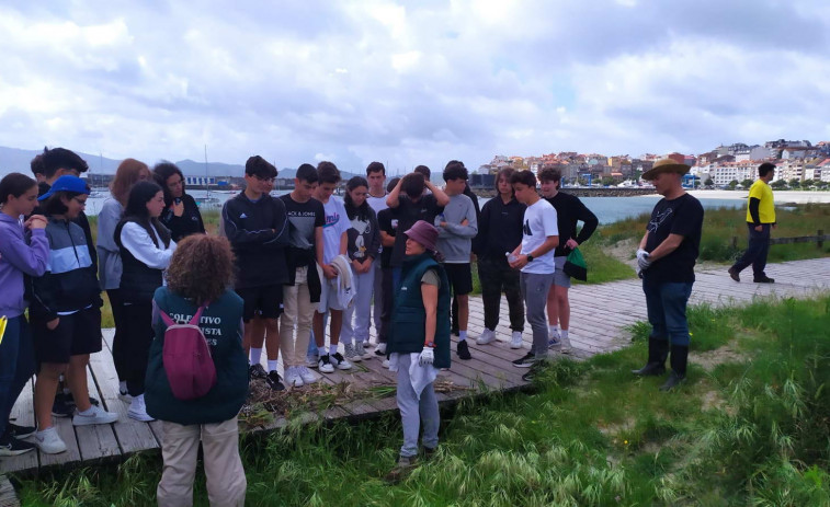 Alumnos del IES de Sanxenxo participan en la limpieza de especies invasoras en las dunas de Baltar