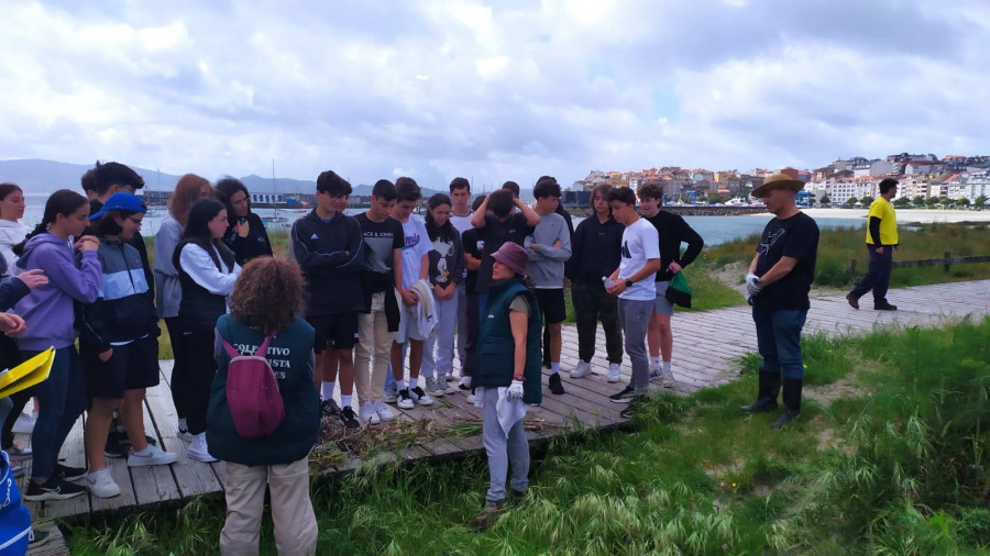 Alumnos del IES de Sanxenxo participan en la limpieza de especies invasoras en las dunas de Baltar