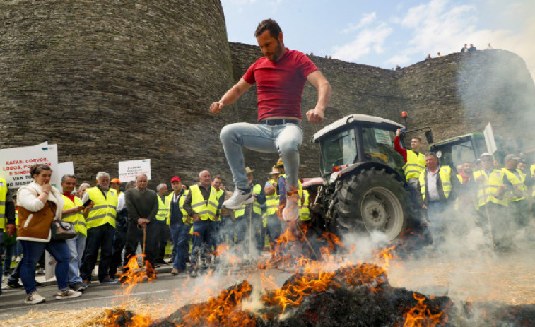 Decenas de ganaderos protestan en Lugo por su situación