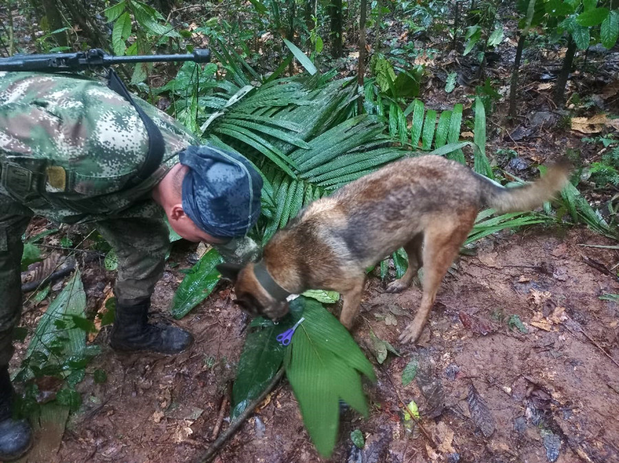 Petro anuncia que los cuatro menores desaparecidos en la selva colombiana aún no han sido localizados