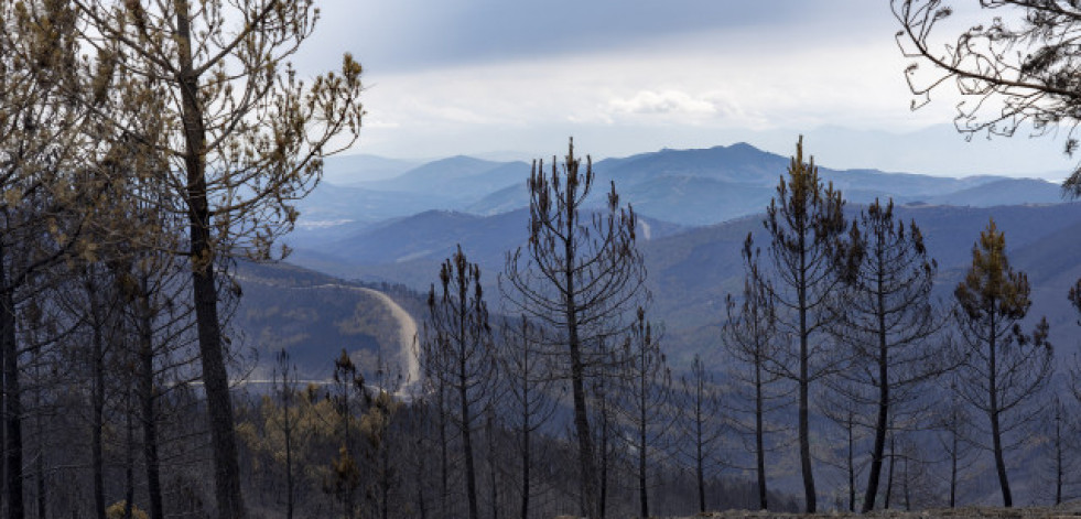 La Fiscalía vigilará que los ayuntamientos adopten medidas  para tratar de prevenir los fuegos forestales