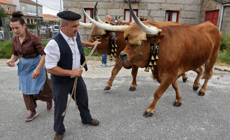 Vilariño celebró con éxito los 40 años de su Festa do Labrego