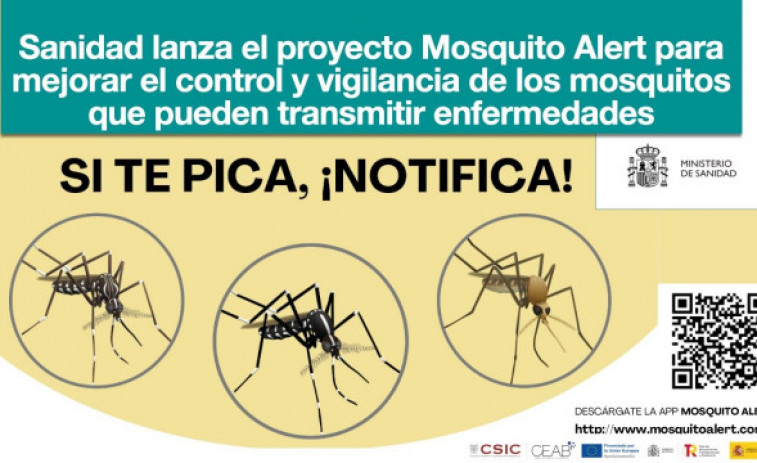 'Si te pica, ¡notifica!', la nueva aplicación de Sanidad para vigilar los mosquitos