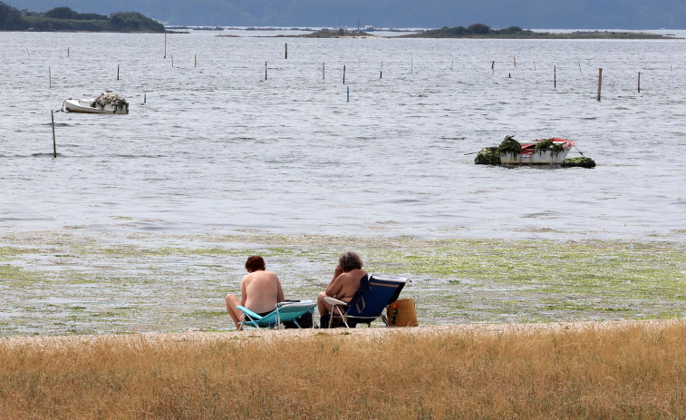 La playa de A Concha- Compostela contará con aseos portátiles