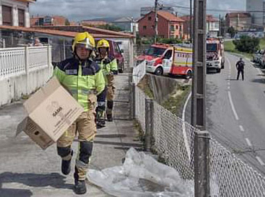 Bomberos de Boiro y Policía Local de Rianxo rescatan dos crías de gaviotas que cayeron de un nido en Xogo dos Bolos