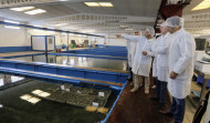 El sector mar-industria de Cambados confía en la ley del litoral de Galicia