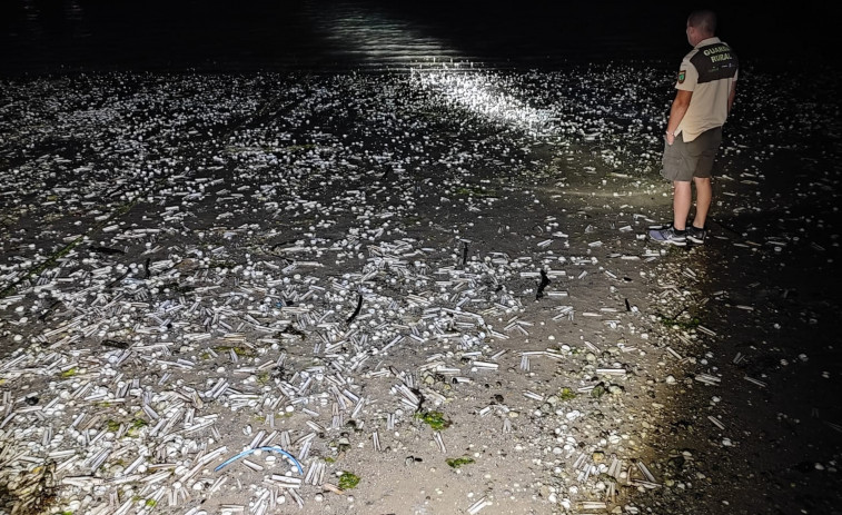 Preocupación en A Illa por un caso de mortandad masiva que cubrió 200 metros de playa de conchas