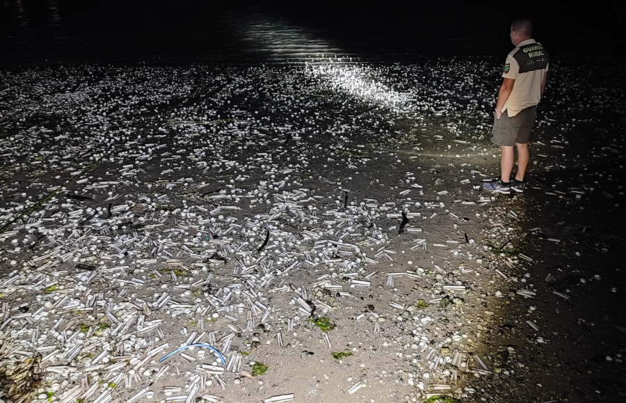 Preocupación en A Illa por un caso de mortandad masiva que cubrió 200 metros de playa de conchas