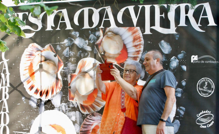 La Festa da Vieira de Cambados empieza hoy y se traslada a una carpa de A Calzada ante la previsión de lluvia