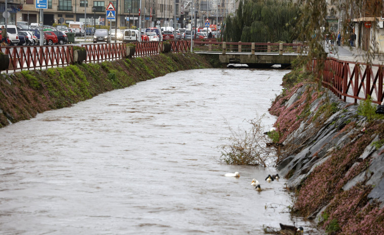 Justicia para el pato del río de O Con