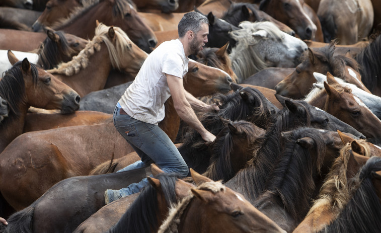 A Rapa de Sabucedo leva o Premio Ambiental da Revolta