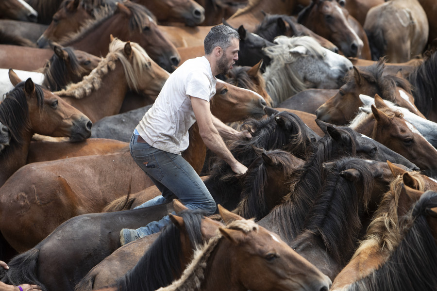 A Rapa de Sabucedo leva o Premio Ambiental da Revolta