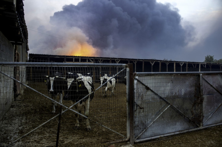 Grecia sigue luchando contra los grandes incendios en todo su territorio