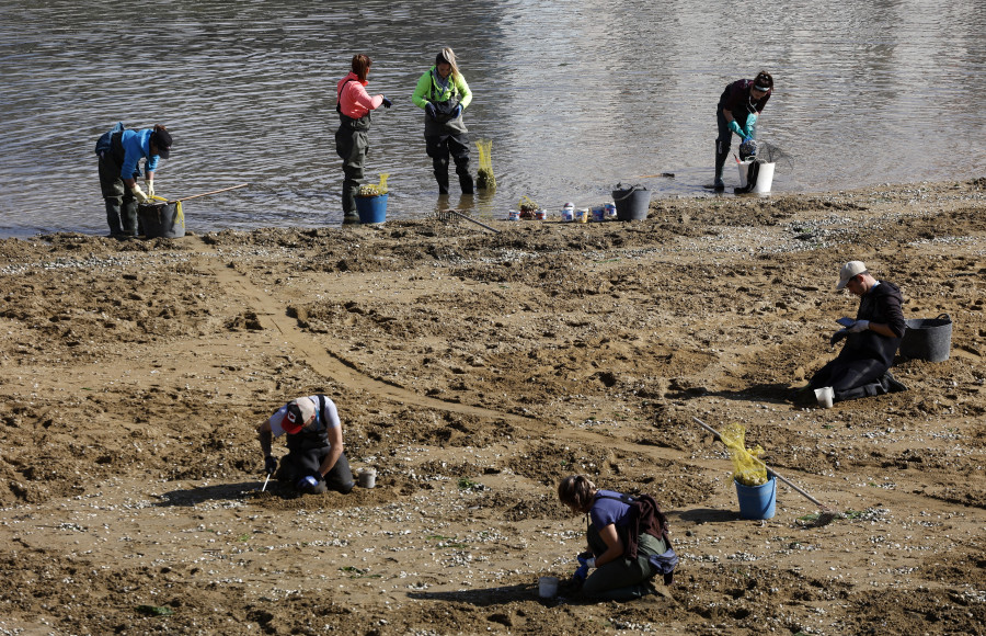 La futura Lei de Igualdade regulará los derechos laborales de las mariscadoras