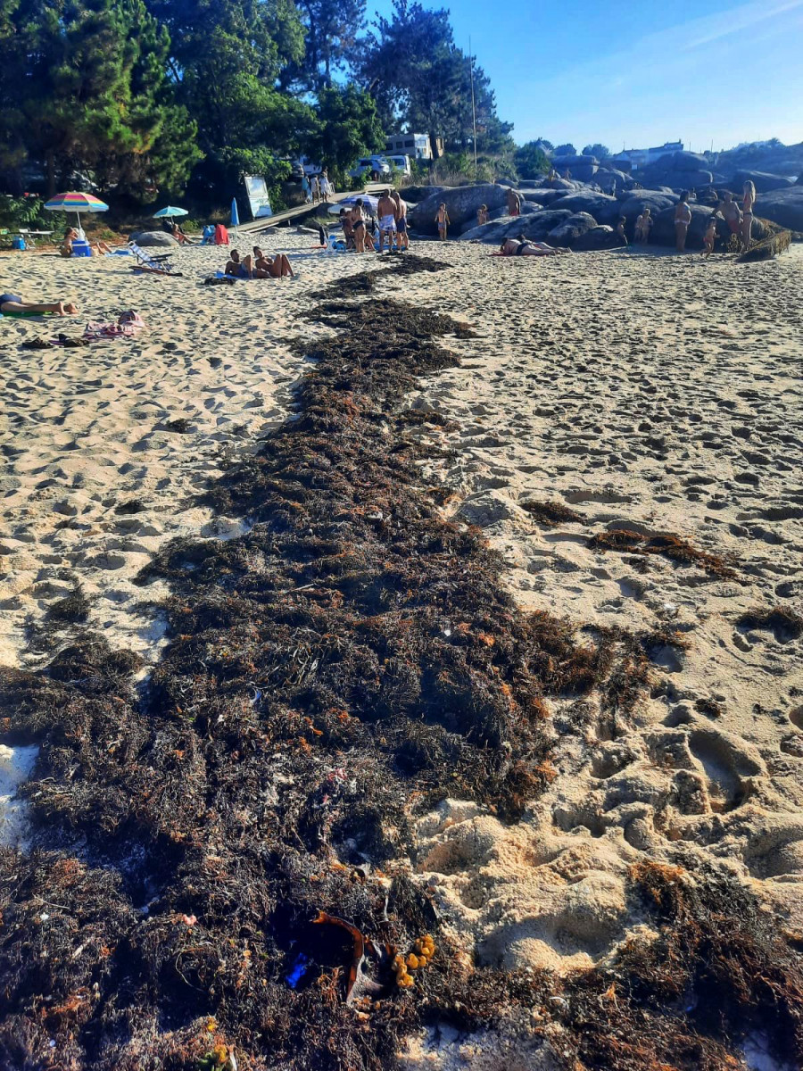 El PP de O Grove denuncia el estado de “abandono” de las playas por parte del gobierno municipal