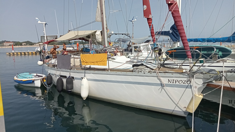 Las orcas avistadas el domingo en el litoral de Ribeira no ocasionaron los daños al velero francés "Nipozo"