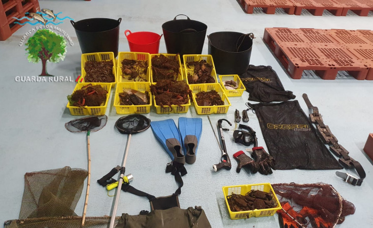 Cuatro guardas rurales identifican a cuatro furtivos y les decomisan 20 kilos de marisco y pescado en Boiro