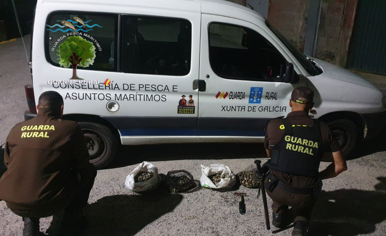 Guardapescas de la Cofradía de Cabo de Cruz decomisan 15,48 kilos de marisco a dos furtivos en Peralto