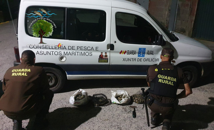 Guardapescas de la Cofradía de Cabo de Cruz decomisan 15,48 kilos de marisco a dos furtivos en Peralto