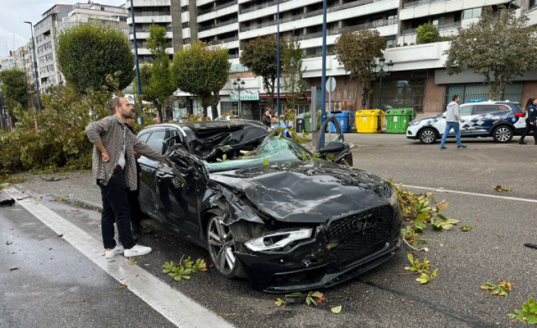 Herida en Vigo tras caer un árbol sobre el vehículo que conducía